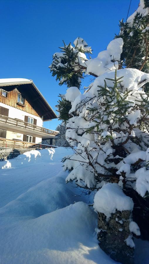 Haus Wastl Daire Russbach am Pass Gschütt Dış mekan fotoğraf