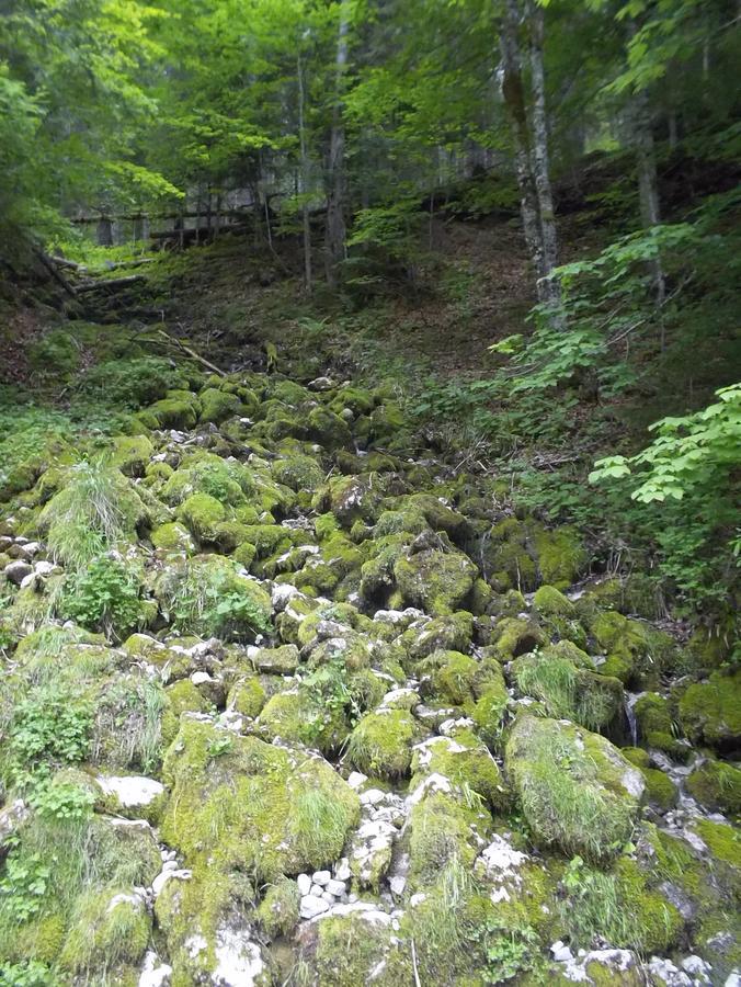 Haus Wastl Daire Russbach am Pass Gschütt Dış mekan fotoğraf
